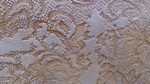 leoroman online show from February 6, 2025, 6:24 pm