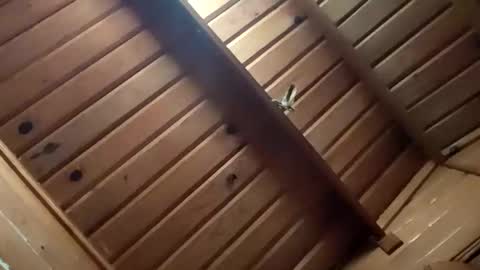 Snapshot of leskator9 chatting on November 2, 2025, 5:10 am leskator9 online show from November 2, 2025, 5:10 am