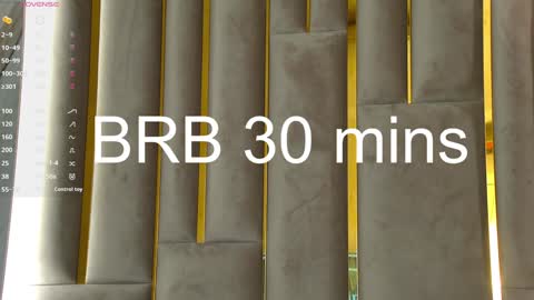 Snapshot of lesliemines chatting on January 21, 2025, 8:41 am Leslie online show from January 21, 2025, 8:41 am