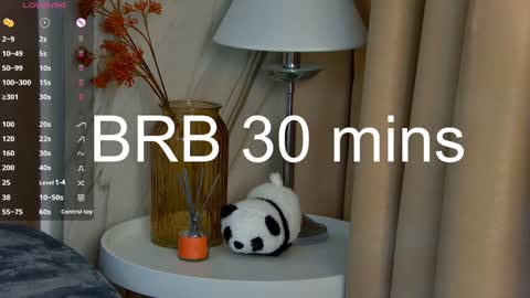 Snapshot of lesliemines chatting on January 27, 2025, 11:43 am Leslie online show from January 27, 2025, 11:43 am