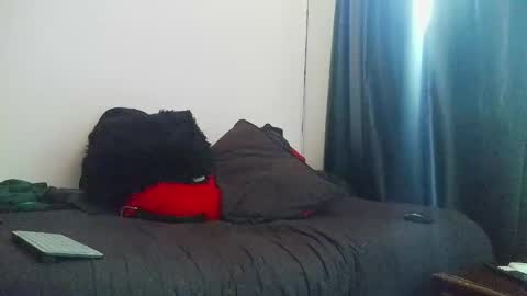 Snapshot of letorres23 chatting on April 27, 2026, 12:36 pm Torres online show from April 27, 2026, 12:36 pm