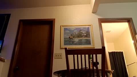 letsplay361 online show from March 4, 2025, 2:27 am