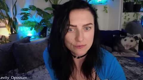 Levity online show from November 11, 2025, 11:05 pm