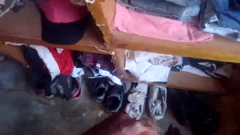 lewiskip online show from November 17, 2025, 4:51 am