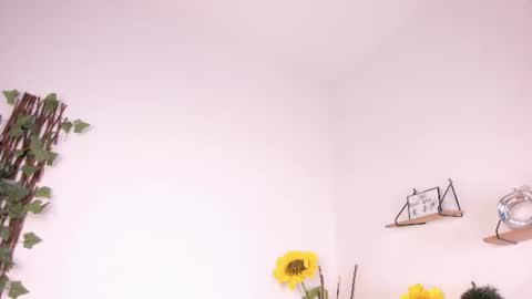 Snapshot of lexieegrey chatting on July 18, 2026, 9:07 pm Lexieegrey online show from July 18, 2026, 9:07 pm