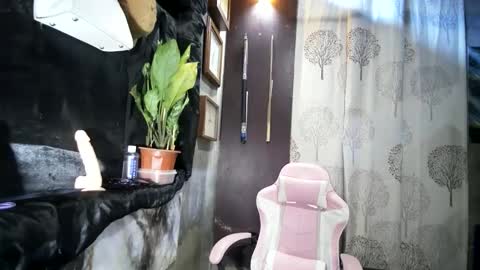 lexisecrets12 online show from November 19, 2025, 2:55 am