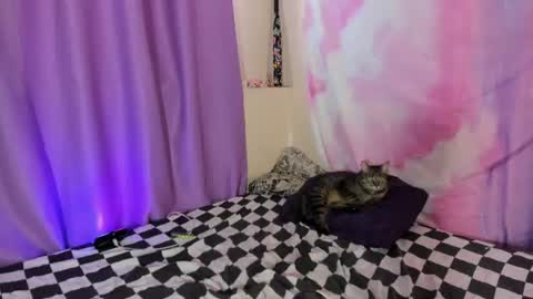 LexxxY online show from August 1, 2026, 7:07 am