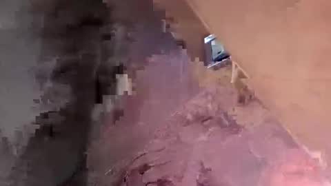 lezerae45791709 online show from March 7, 2026, 9:12 pm