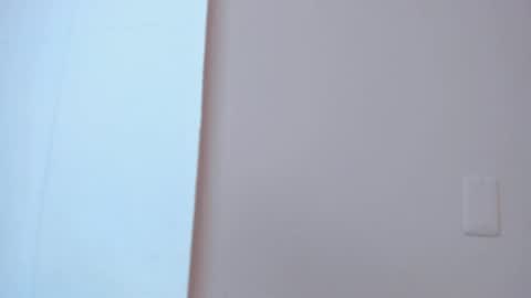 Liss 3 online show from October 29, 2025, 10:17 am