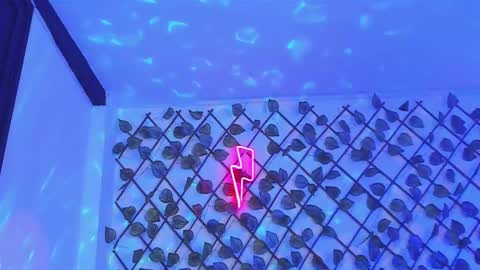 liam_anny online show from November 15, 2025, 6:37 pm