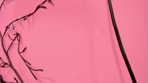 Liam online show from January 18, 2026, 3:10 am