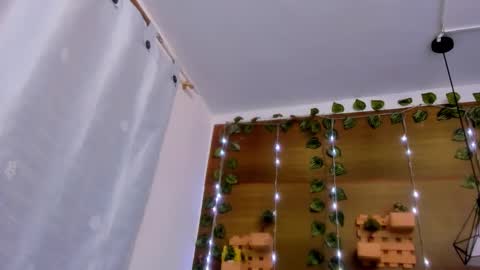 liam online show from September 18, 2025, 12:29 pm