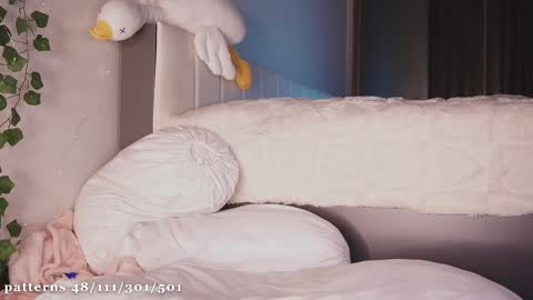 Molly  you can find Bunny here --  online show from February 12, 2025, 8:07 pm