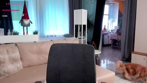 Libby online show from January 3, 2025, 11:14 am