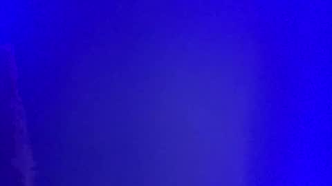 LickYourYoni online show from January 1, 2025, 2:52 pm