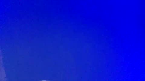 LickYourYoni online show from February 8, 2025, 4:04 pm