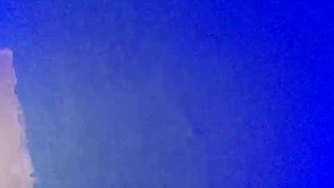 LickYourYoni online show from February 22, 2025, 3:36 pm