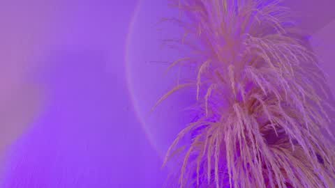 Liiam Luna online show from March 31, 2026, 9:10 am