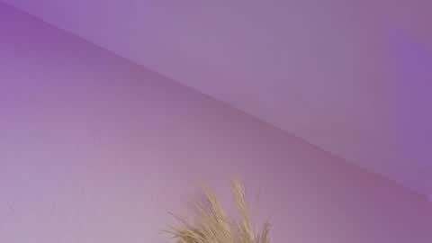 Liiam Luna online show from April 21, 2026, 11:05 am