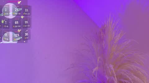 Liiam Luna online show from April 23, 2026, 11:09 am