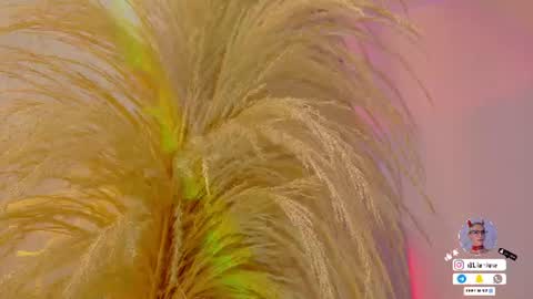 Snapshot of liiamluna chatting on June 30, 2026, 11:00 am Liiam Luna online show from June 30, 2026, 11:00 am