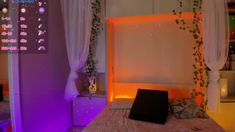         online show from February 3, 2026, 11:48 am