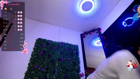   online show from December 28, 2024, 1:38 pm