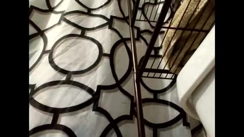 lilcalvo1 online show from March 18, 2026, 9:34 am