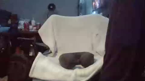 lildman420 online show from March 24, 2026, 9:42 pm