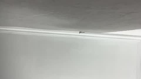 Lilith  online show from November 11, 2025, 3:23 pm