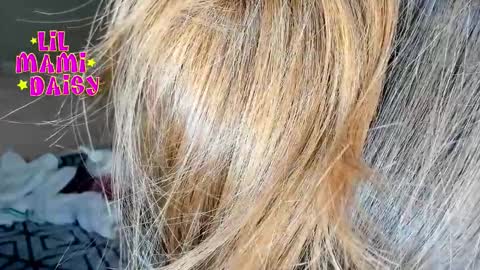 Daisy Bby online show from March 16, 2026, 3:01 am