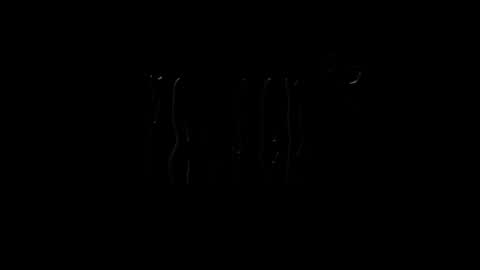 lilpresident online show from January 23, 2025, 7:51 pm