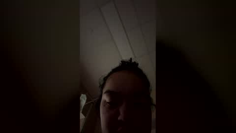 lily2fly online show from April 28, 2026, 10:42 am