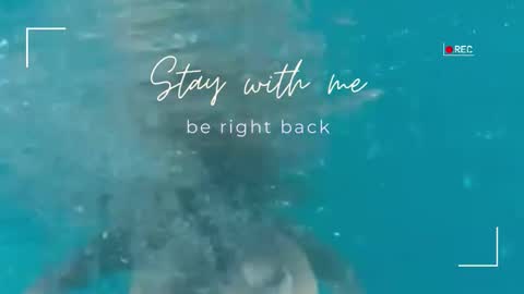 Lily online show from February 4, 2026, 6:08 am