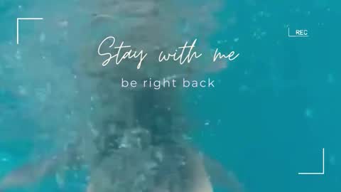 Lily online show from February 18, 2026, 6:42 am