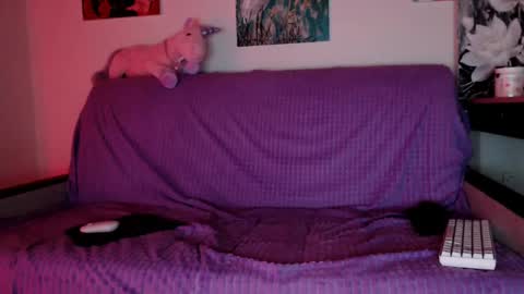 Lily Litle online show from December 8, 2024, 6:17 pm