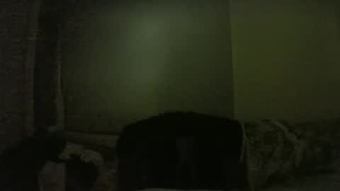 lily lovelyman online show from February 1, 2025, 6:08 pm