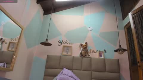 Snapshot of lilybaudyn_ chatting on February 12, 2025, 11:18 am Lily online show from February 12, 2025, 11:18 am