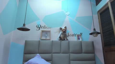 Snapshot of lilybaudyn_ chatting on February 25, 2025, 8:03 am Lily online show from February 25, 2025, 8:03 am