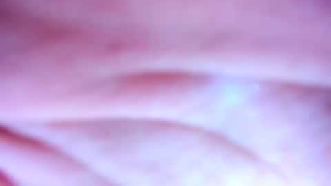    online show from February 19, 2025, 1:28 pm