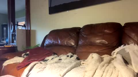 Snapshot of lincolnlongdick chatting on December 6, 2024, 7:23 pm Richie Rich online show from December 6, 2024, 7:23 pm