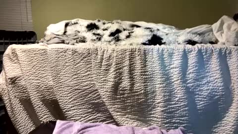 Snapshot of lincolnlongdick chatting on December 13, 2024, 7:10 pm Richie Rich online show from December 13, 2024, 7:10 pm