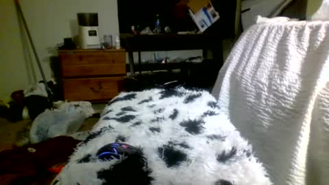 Snapshot of lincolnlongdick chatting on December 30, 2024, 5:13 pm Richie Rich online show from December 30, 2024, 5:13 pm