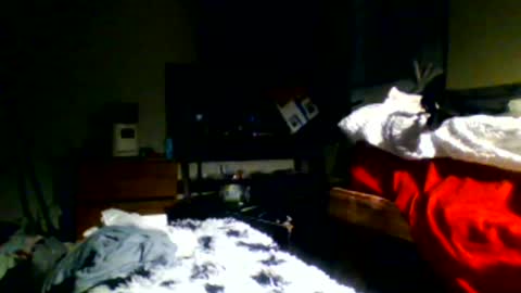 Snapshot of lincolnlongdick chatting on December 30, 2024, 11:17 pm Richie Rich online show from December 30, 2024, 11:17 pm