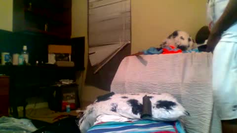 Snapshot of lincolnlongdick chatting on January 5, 2025, 8:22 am Richie Rich online show from January 5, 2025, 8:22 am