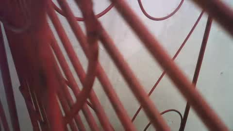 Snapshot of lincolnlongdick chatting on October 11, 2025, 5:00 pm Richie Rich online show from October 11, 2025, 5:00 pm