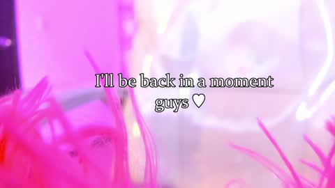 linda miller online show from January 24, 2025, 7:51 am