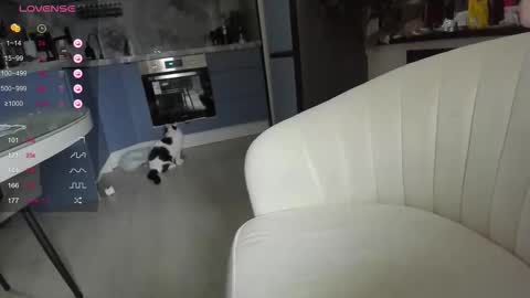 Lisa online show from March 31, 2026, 4:24 am