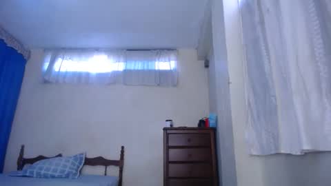 Snapshot of lisa_branch chatting on December 18, 2024, 8:47 pm lisa_branch online show from December 18, 2024, 8:47 pm