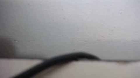 Snapshot of lisa_branch chatting on September 20, 2025, 10:27 am lisa_branch online show from September 20, 2025, 10:27 am